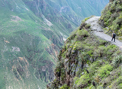 Colca Convencional – Terminado en Puno