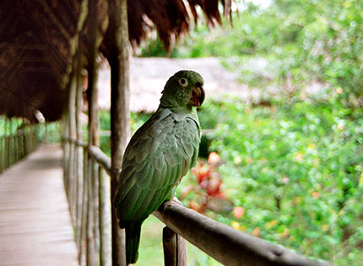 Conociendo Iquitos