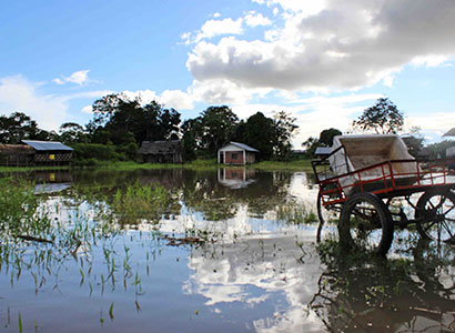 Cumaceba amazon lodge