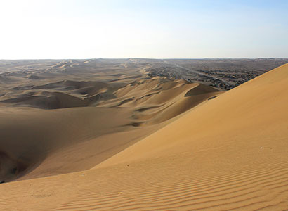 Ica + Paracas (Sábados y Domingos)