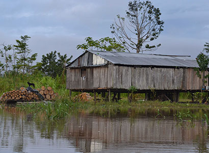 Iquitos Especial