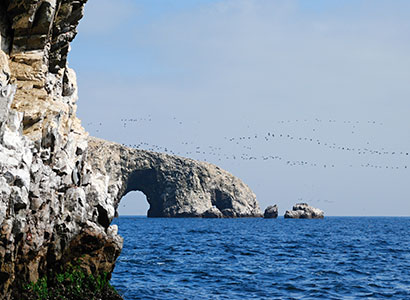 Tour Islas Ballestas en Lancha (Desde Paracas)