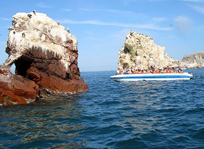Islas Ballestas + Cuatrimotos en Paracas (Todos los Días)