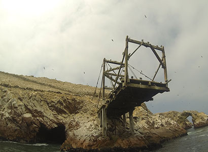 Tour Islas Ballestas en Lancha (Desde Paracas)